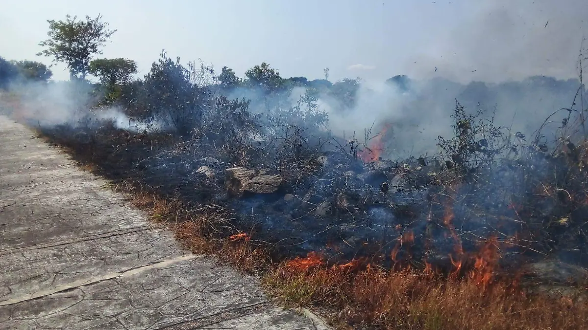 incendios en pastizales 